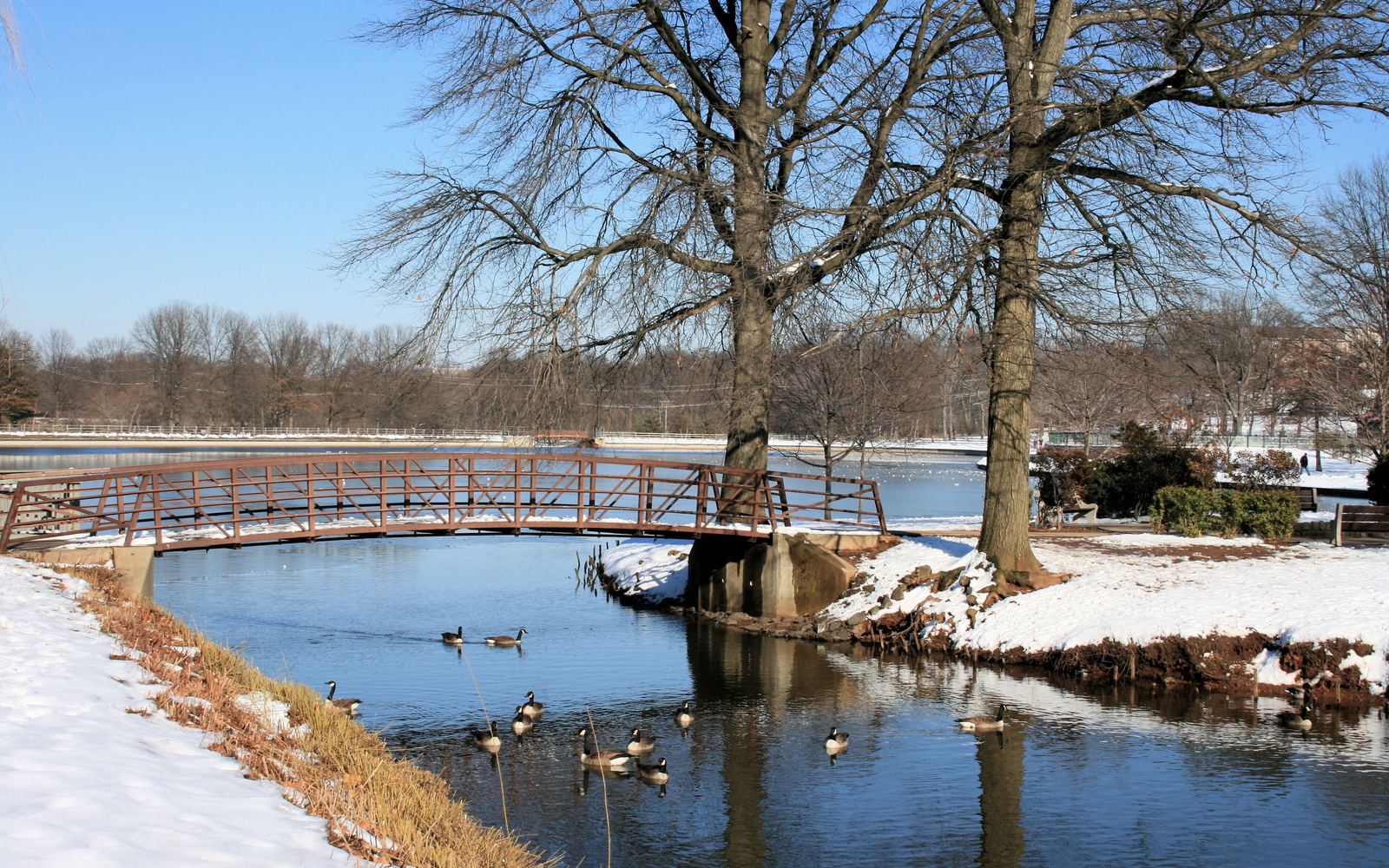 Footbridge over the lake at Roosevelt Park in Edison after a winter snowfall